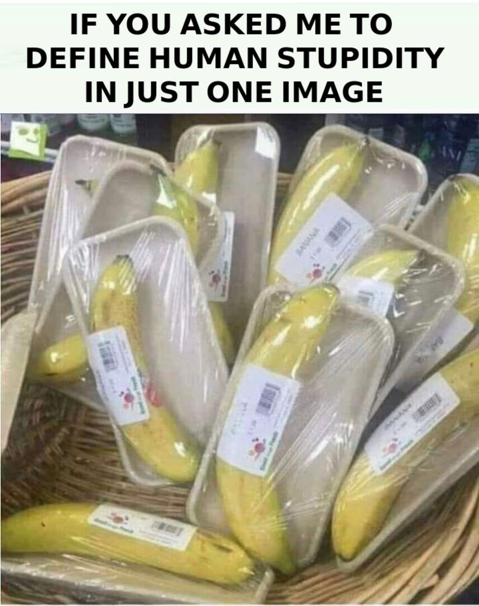 DebbieatEMA's tweet image. If only #nature provided a natural form of protection for fruit... 

#PlasticPollution @green4ema