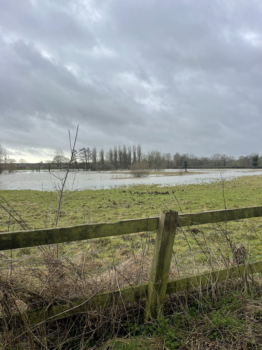 MarkFarrington2's tweet photo. @itvweather Easton Suffolk earlier today https://t.co/seqpftJqYA