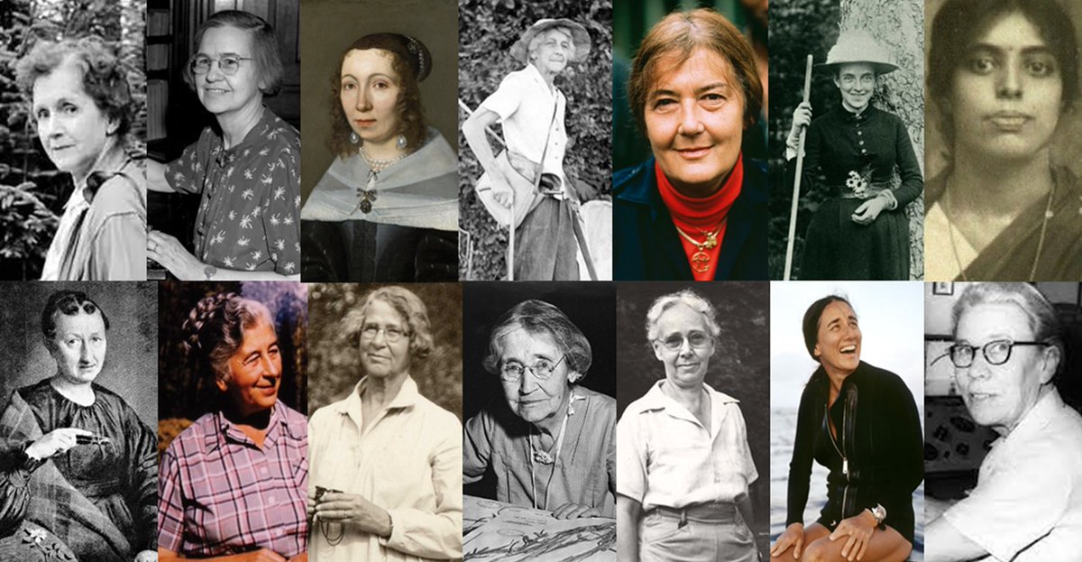 Biodiversa+ (European Biodiversity Partnership) tweet media