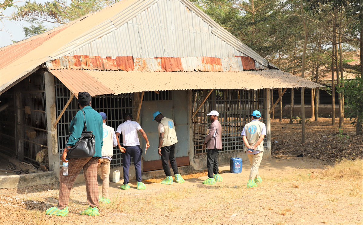 FAOGuinee's tweet photo. PMP-TAB: Après l’adoption des bonnes pratiques de biosécurité dans le secteur #avicole, visite de couvoirs & fermes pour vérifier leur applicabilité.
Les gestionnaires des exploitations ont apprécié la démarche & promis encore plus de rigueur sur la biosécurité en 🇬🇳
🐓🦃🥚🍗 https://t.co/I2U3uYJSy0