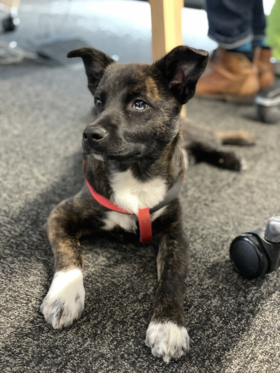 Les-Tilleuls.coop tweet media