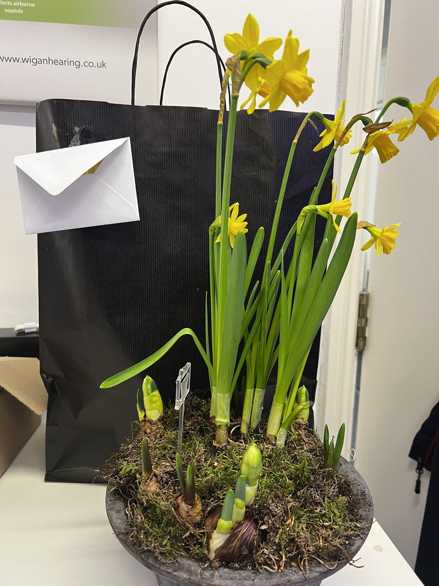 It’s always lovely when a patient gets you flowers! #wiganhearing #connectingwigan #WiganBusiness #wigan #supportlocal #earwaxremoval #hearingloss