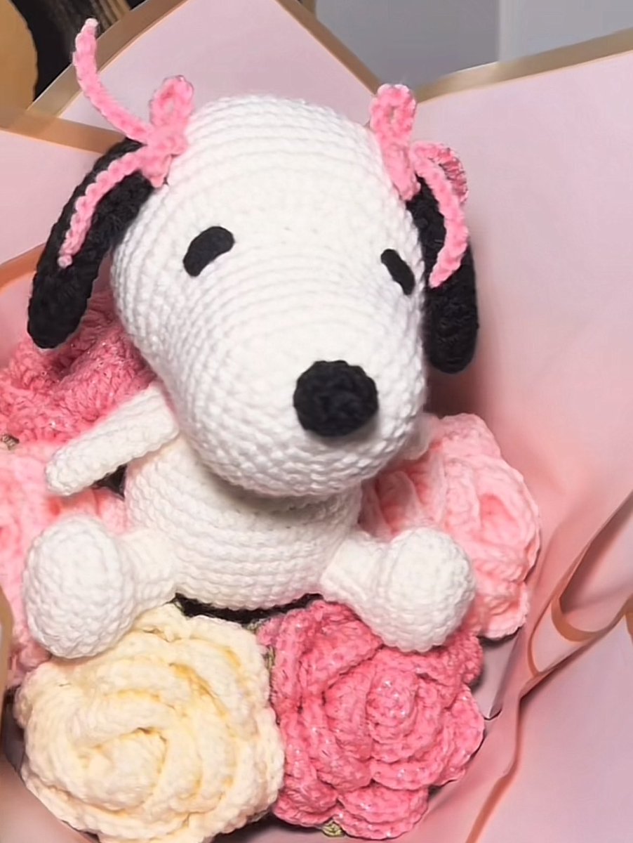 snoopystwin's tweet photo. snoopy valentines bouquet/ cr: isabelpargaa tik tok https://t.co/RWcNMLbtbs
