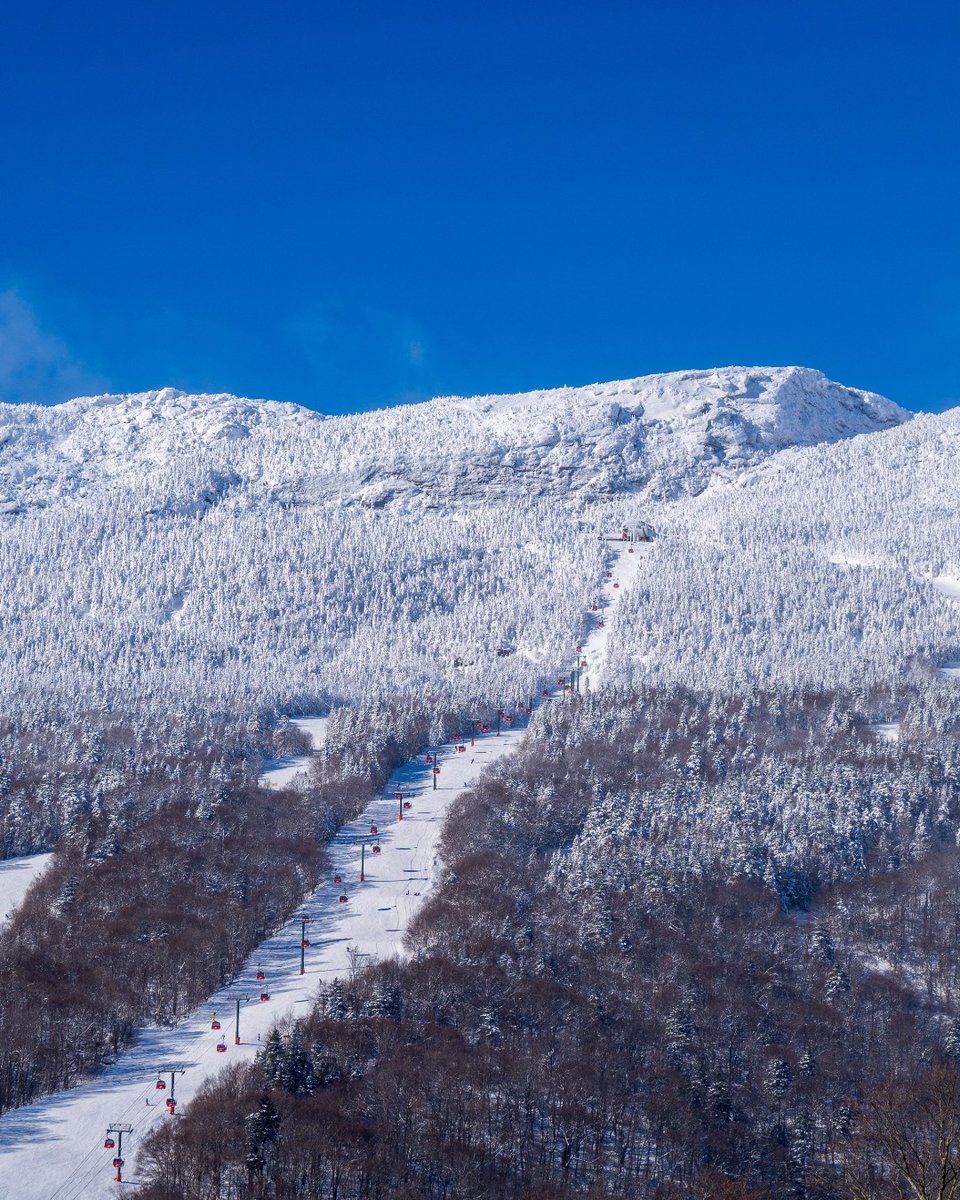 It's been a great week of skiing and riding at #stowemt! This weekend, head to Mansfield, Midway, Octagon, Spruce Camp, or The Waffle for a bite.🍕Pass holders get 20% off with Epic Mountain Rewards. Lift & Terrain: stowe.com/alerts Snow & Weather: stowe.com/snow