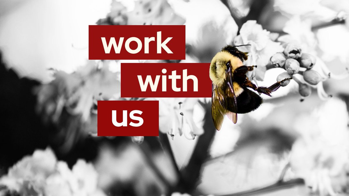 PAS and @UWMadisonCALS is hiring an assistant professor in #corn production systems! The incumbent will design novel corn grain and silage production systems that reduce risks to #agriculture and the #environment. jobs.wisc.edu/jobs/assistant…