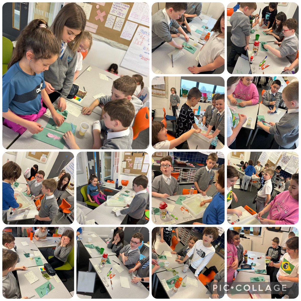 DeePointAriel's tweet photo. In science, we investigated the best way to clean birds that have been caught in an oil spill! We found that detergent was the best way to remove oil from feathers! #snapscience πͺΆπ€ @DeePointPrimary https://t.co/QYtmvkmz7u