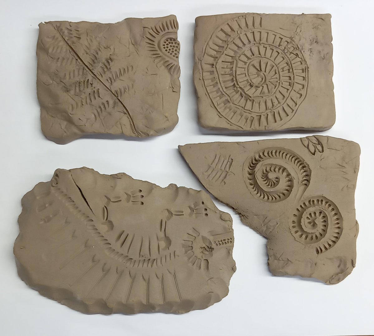 Have a go at making your very own fossil to take home from clay on Weds 14 and Thurs 15 Feb. Make marks in the clay using a variety of materials provided or by using the clay tools. £3 per go. Drop in between 10.30am -12:00 and 1-3pm #VisitStoke #SoTCityCouncil