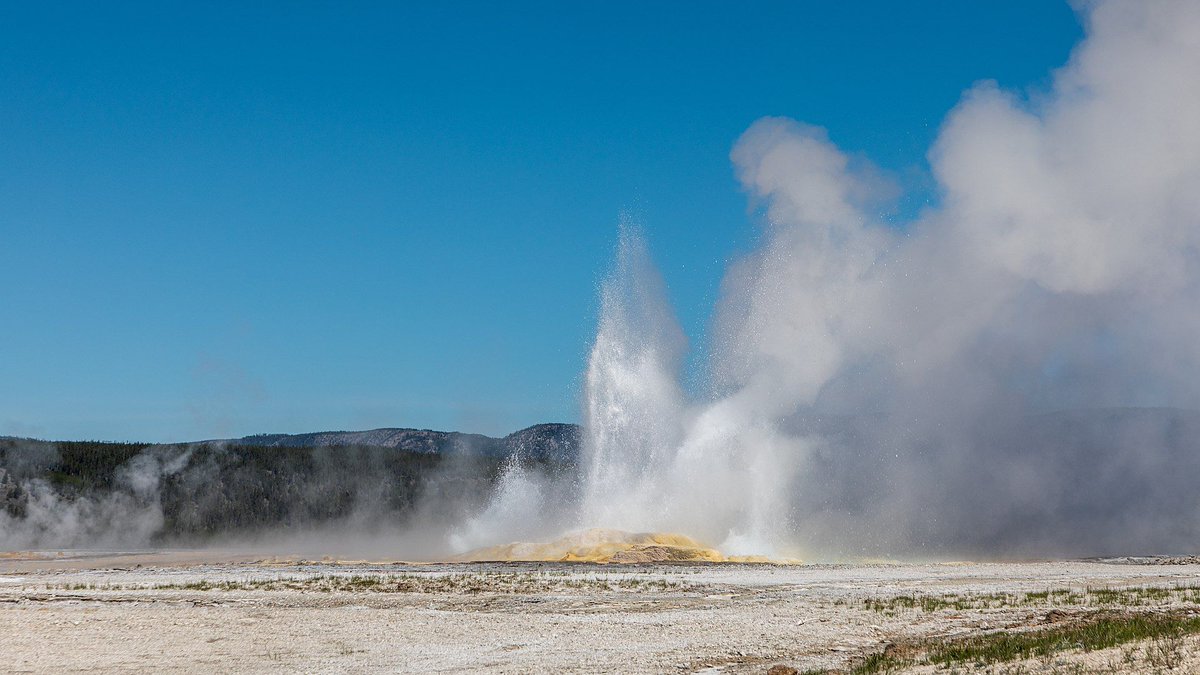 Churchill County Library tweet media