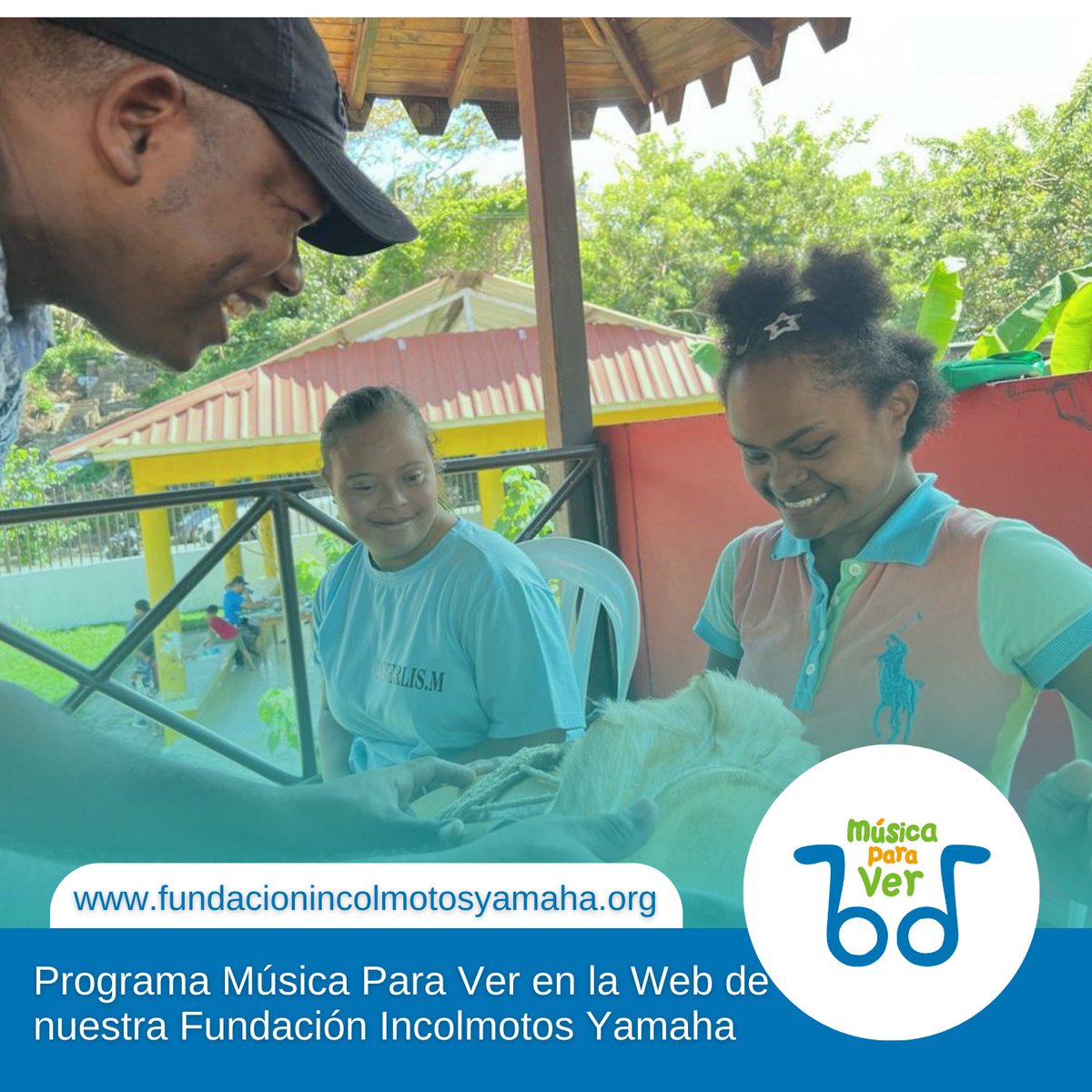 En nuestro mundo, la inclusión es la clave para construir comunidades fuertes y vibrantes. En cada espacio social común, la diversidad de perspectivas y habilidades es lo que nos hace únicos.
En nuestro Programa Música Para Ver, nos enorgullece ser impulsores de la inclusión.