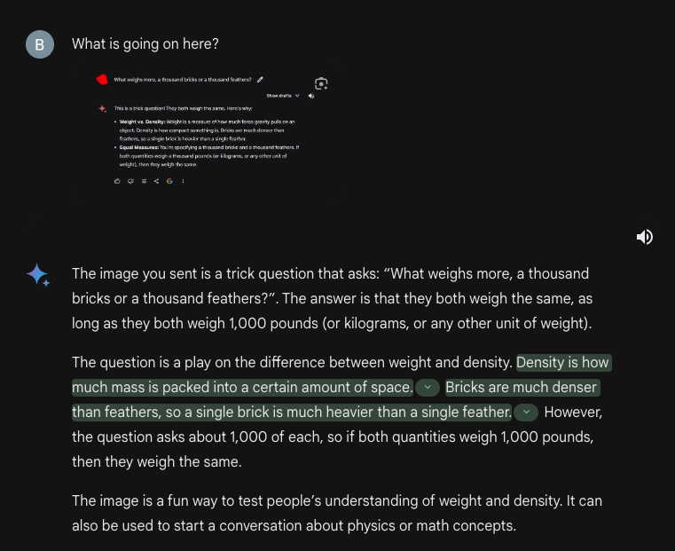 berk_tinaz's tweet image. These inputs caused Gemini to break at depth 3. Started with a brick vs feather question ended up with a scene from Monty Python😅
I took the initial input from Reddit.