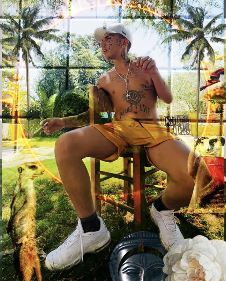 ANTONY 🐍 tweet media