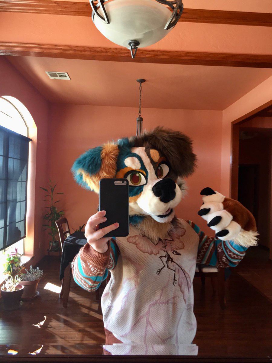 🌙 junebugs tweet media