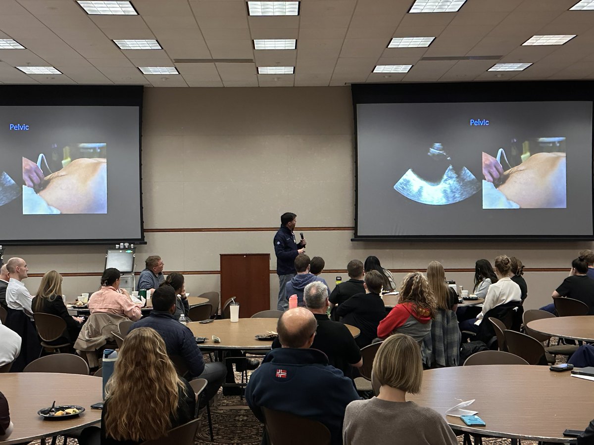 toddsextonDO's tweet photo. @ClintHawthorne giving a talk on e-FAST exams at the EM US conference. Followed by an intense kahoot game! @IMMCEMResident https://t.co/5pmMmTsTzr
