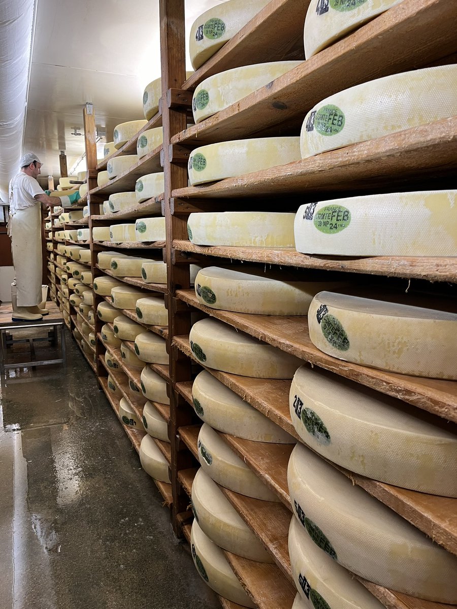 SFitamant's tweet photo. Among the last features of Coopex Montbéliarde Tour, all delegations could enjoy #montbeliarde beef, export heifer raising and Comte cheese visits.
With high beef prices but also high cheese prices, montbéliarde shows its ability to create substantial added value #teamdairy https://t.co/hd27p852hx