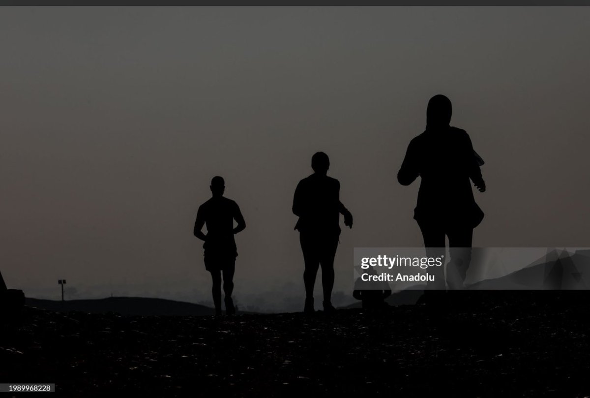 Mohamed El-Shahed tweet media