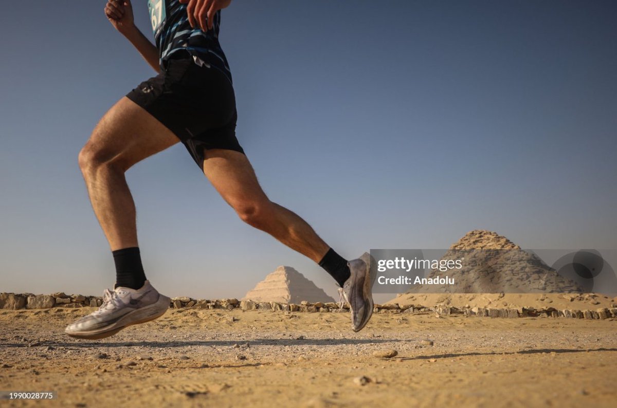 Mohamed El-Shahed tweet media