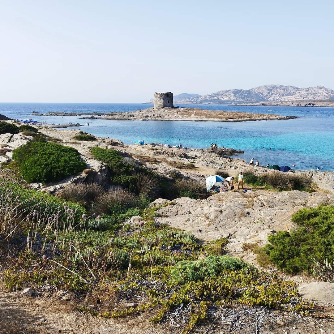 La spiaggia 🏖 della Pelosa di Stintino è una delle più belle in cui siamo mai stati.
Si trova nell’estrema punta nord-occidentale della #Sardegna, nel golfo dell’Asinara, in uno scenario stupendo. 😍
#sardinia #sardegnalive #sardegnaexperience #lapelosa #viaggioinsardegna #mare