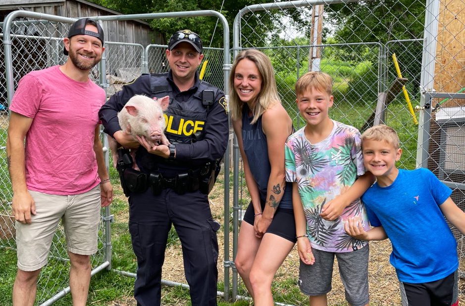 OPP_ER's tweet image. UPDATE: Remember “Karma”? #GrenvilleOPP saved her bacon last July when she went for a run along #Hwy401 in Augusta Twp… well she escaped her new home briefly, thankfully she was found again… but she had a sow-prize on return - she is now a proud mom! #BaconBits #HappyFriday ^dh