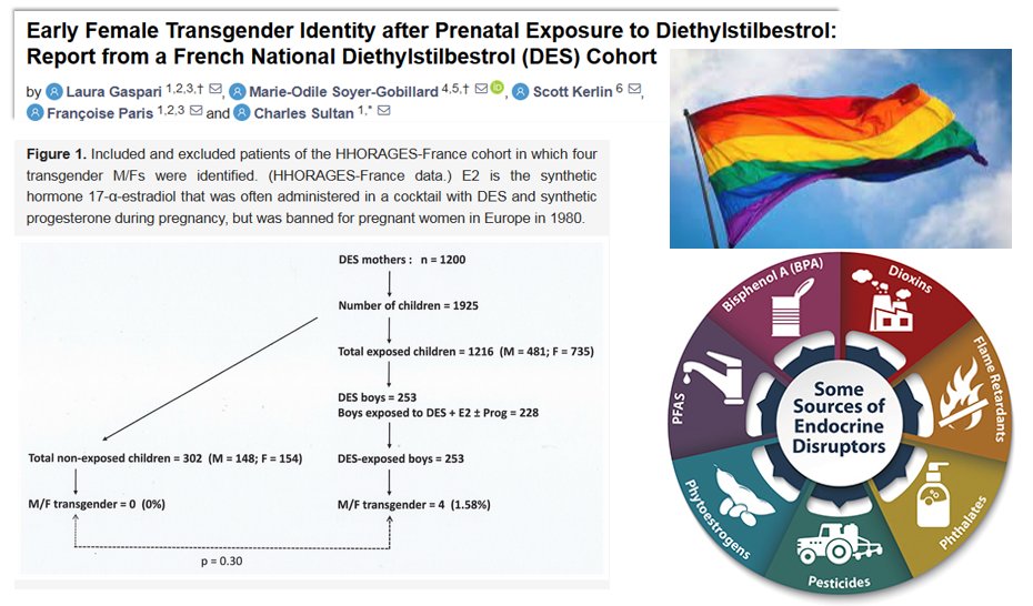 New study:
Transgenderism linked to fetal exposure to endocrine disrupting chemicals
-> mdpi.com/2039-4713/14/1…
"... exposure to chemicals with xenoestrogen activity during fetal life may affect the male sex identity and behavior."