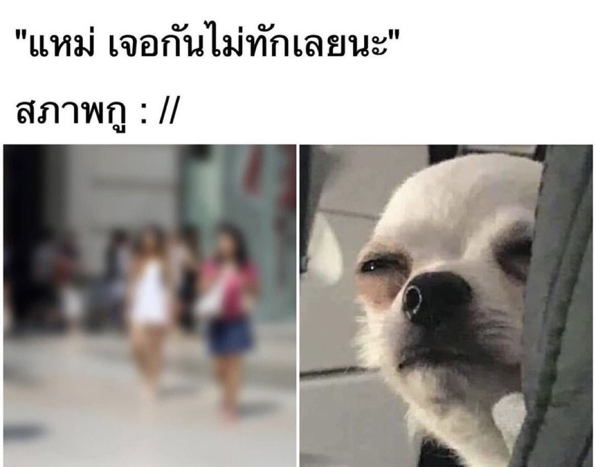 กูไม่ได้หยิ่ง กูแค่สายตาสั้นค่าาาาา5555555555555555555555555555555