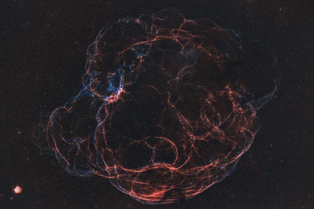 Russell’s Astrophotography tweet media