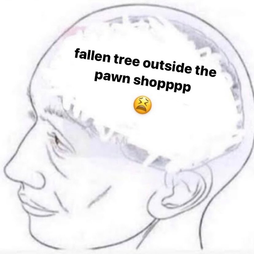 Max Leone tweet media