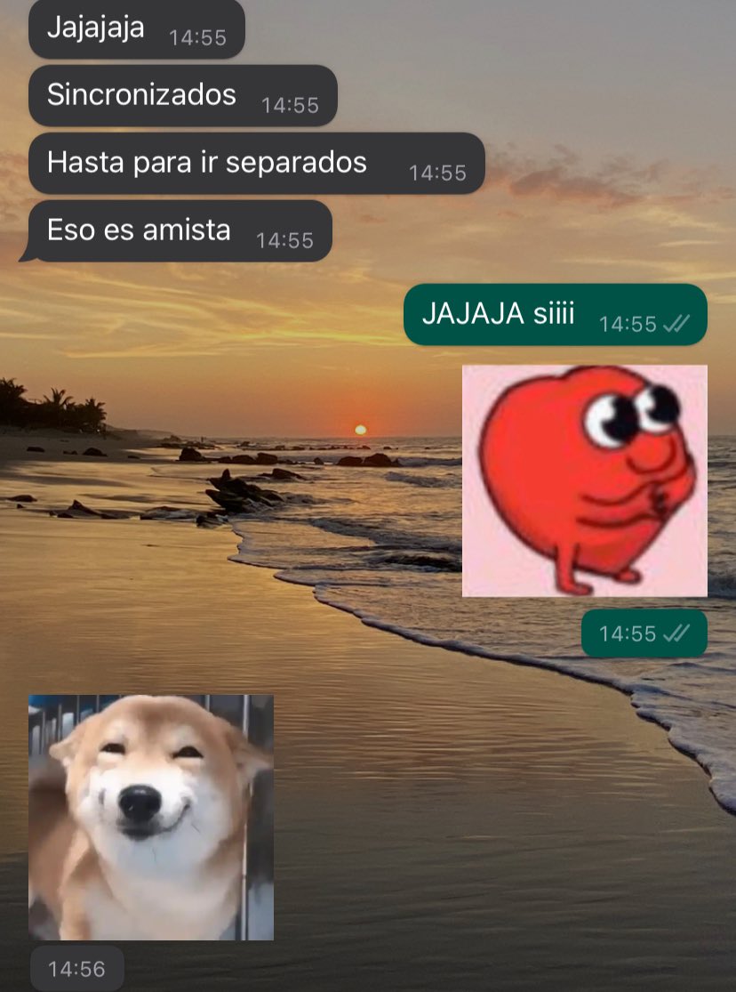 maggirivas01's tweet photo. Viajaré por primera vez sin Vic (mi partner de siempre.

Hoy le conté que me voy de viaje, el lugar y todo. 
Resulta que él también va JAJAJAJA https://t.co/YoI8sElL7Y
