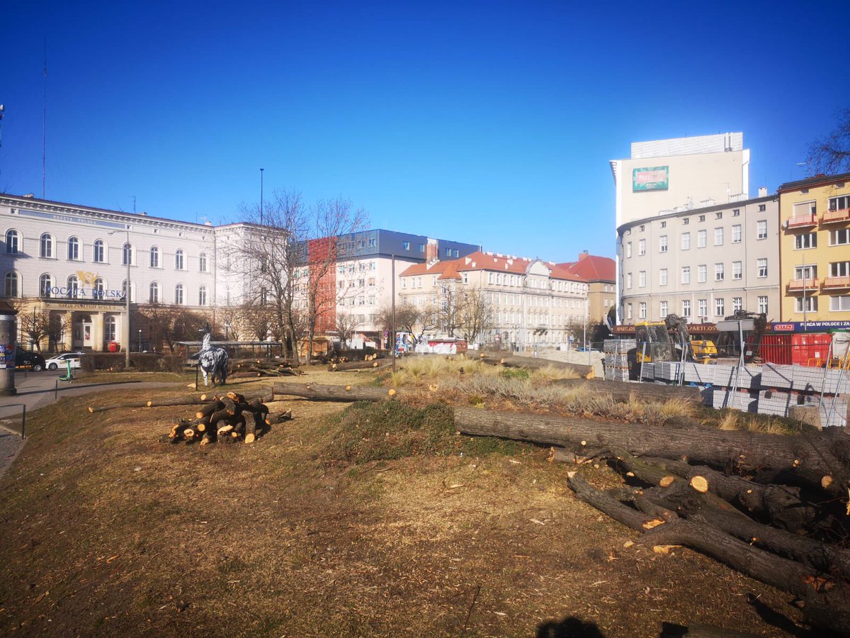 kami_jaronska's tweet photo. @tycjann @JanMencwel Tak wyglądał płac tuż przed budową. Ścięto 33 drzew. Obecnie wyglada jak skopiowana mini wersja placu przed dworcem we Wrocławiu. Tylko tam nie ścinano zdrowych drzew. https://t.co/rWijsCX5qR