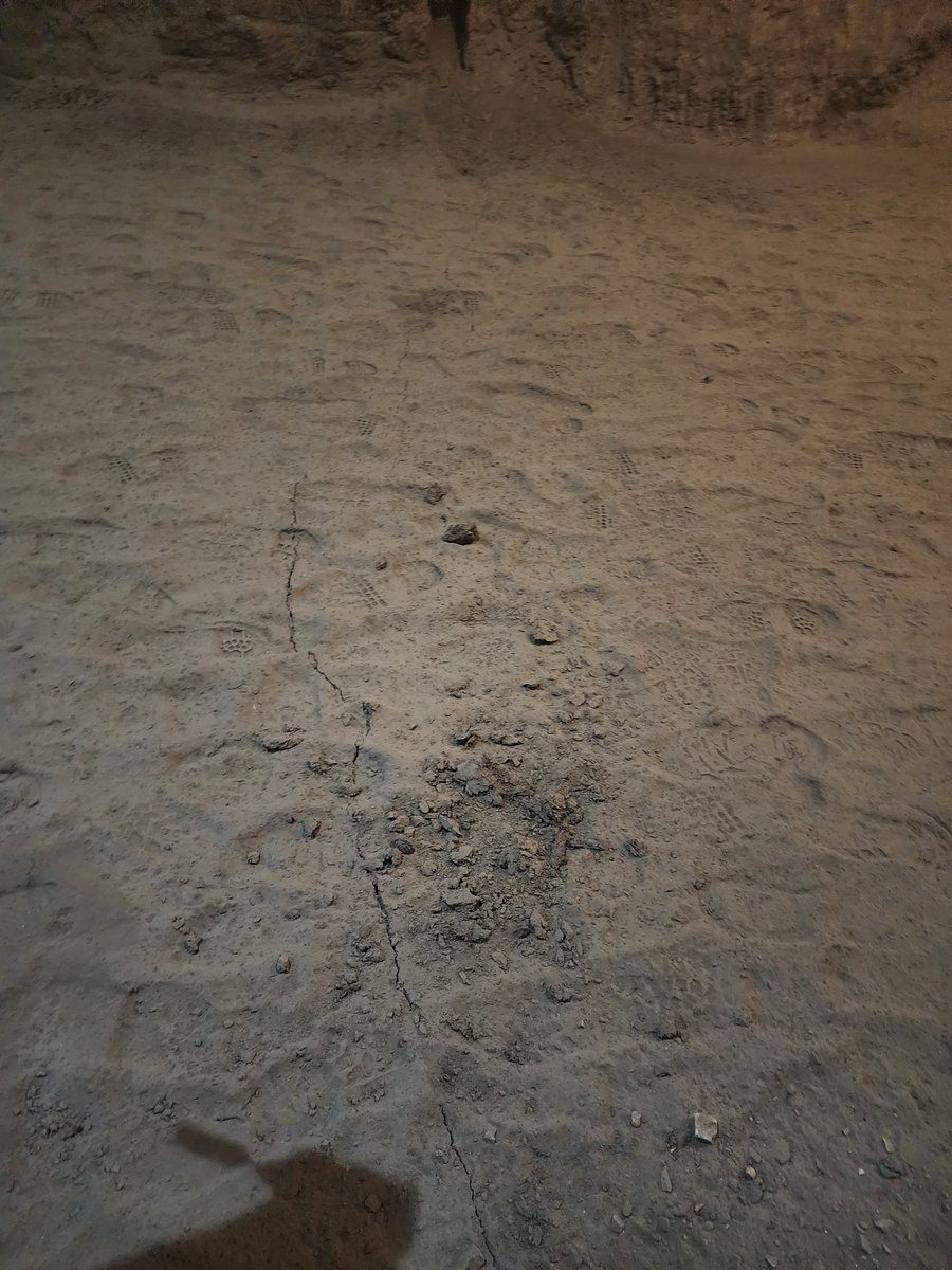 Tom Douglas tweet media