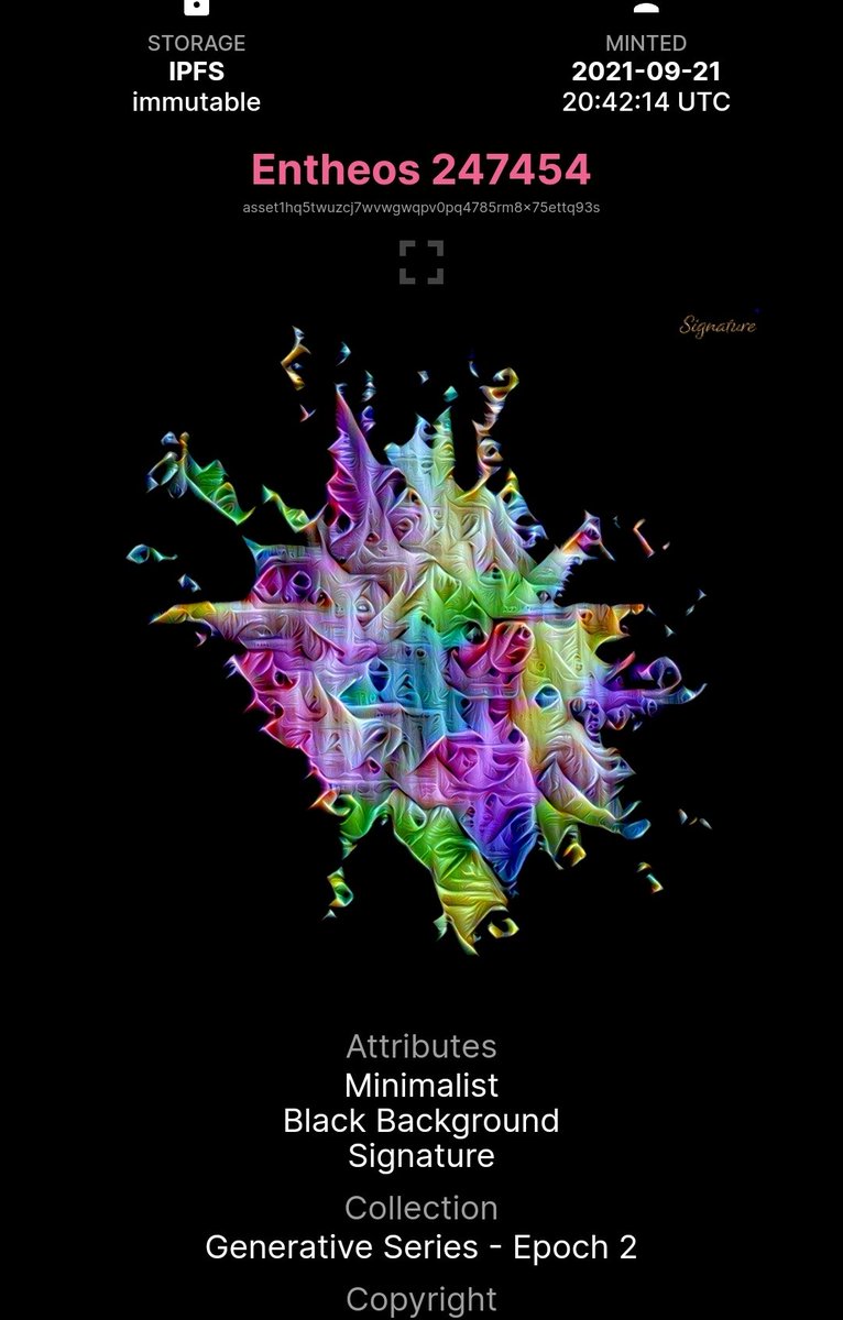 BizarreBadGuy tweet media