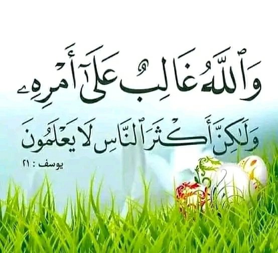 AljAbw77779's tweet photo. @huthaifaabdulah { والله غالب على أمره ولكن أكثر الناس لا يعلمون }

إذا أراد الله شيئاً تعطلت قـوانـيـن الـطبيعة حينئذ، البحـر لا يـغرق، والـنـار لا تحـرق والجبل لايعصم، والحوت لا يهضم، والعذراء تلد، والعصا ��نقلب إلى حية..

إنها القوة التي لا تُغلب https://t.co/TXRUga4FI3