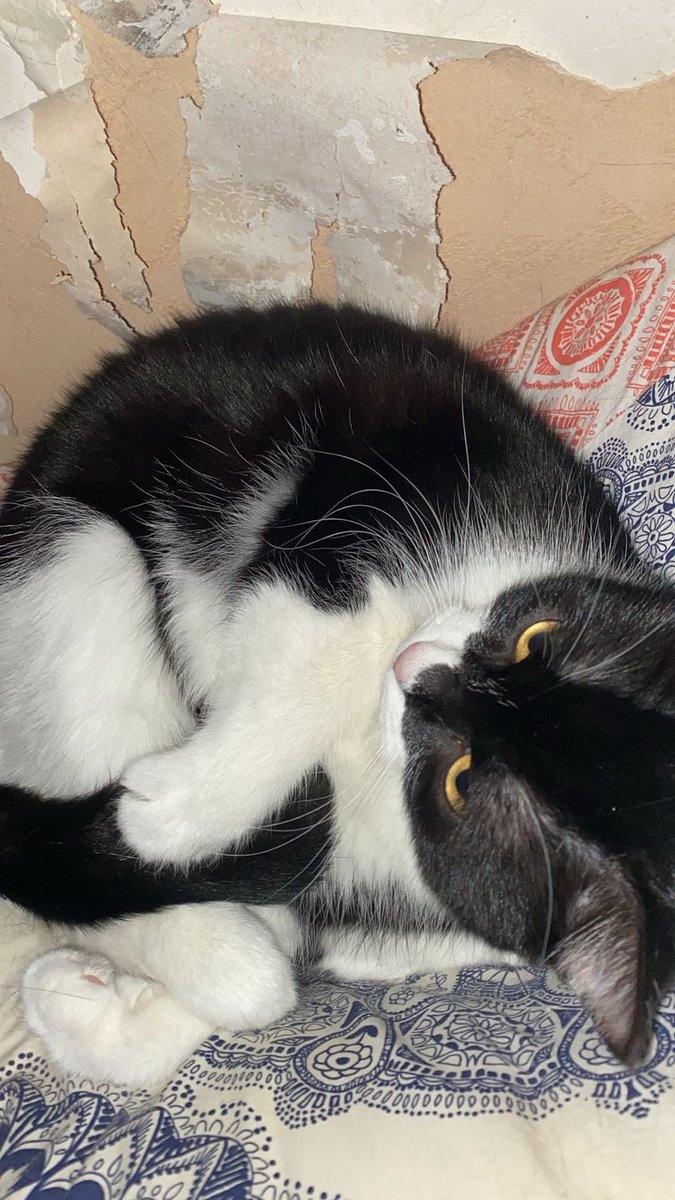 Ma fille, elle est trop adorable regardez