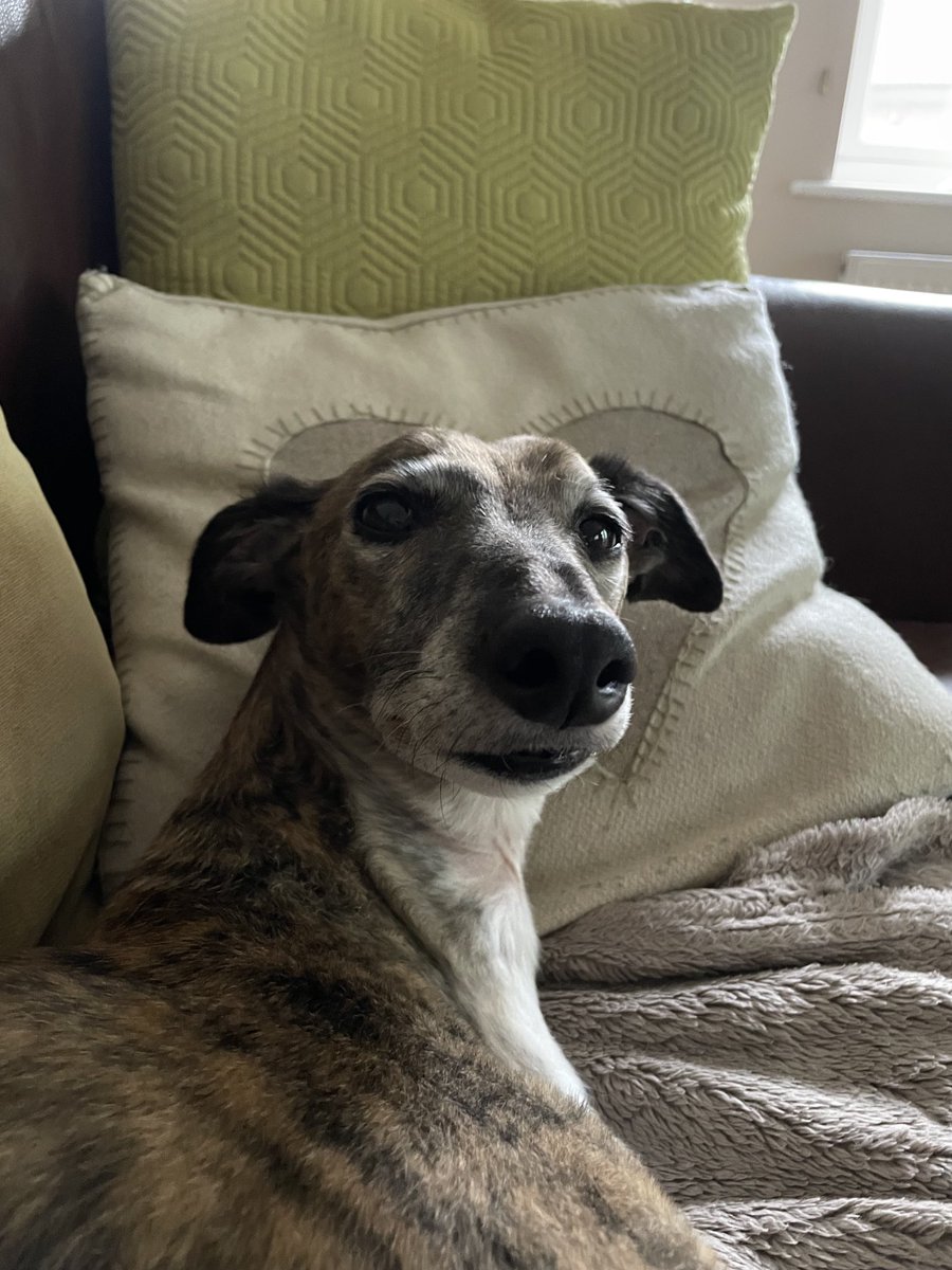 Feeling affronted that this week, pals, I have generally been rather damp.