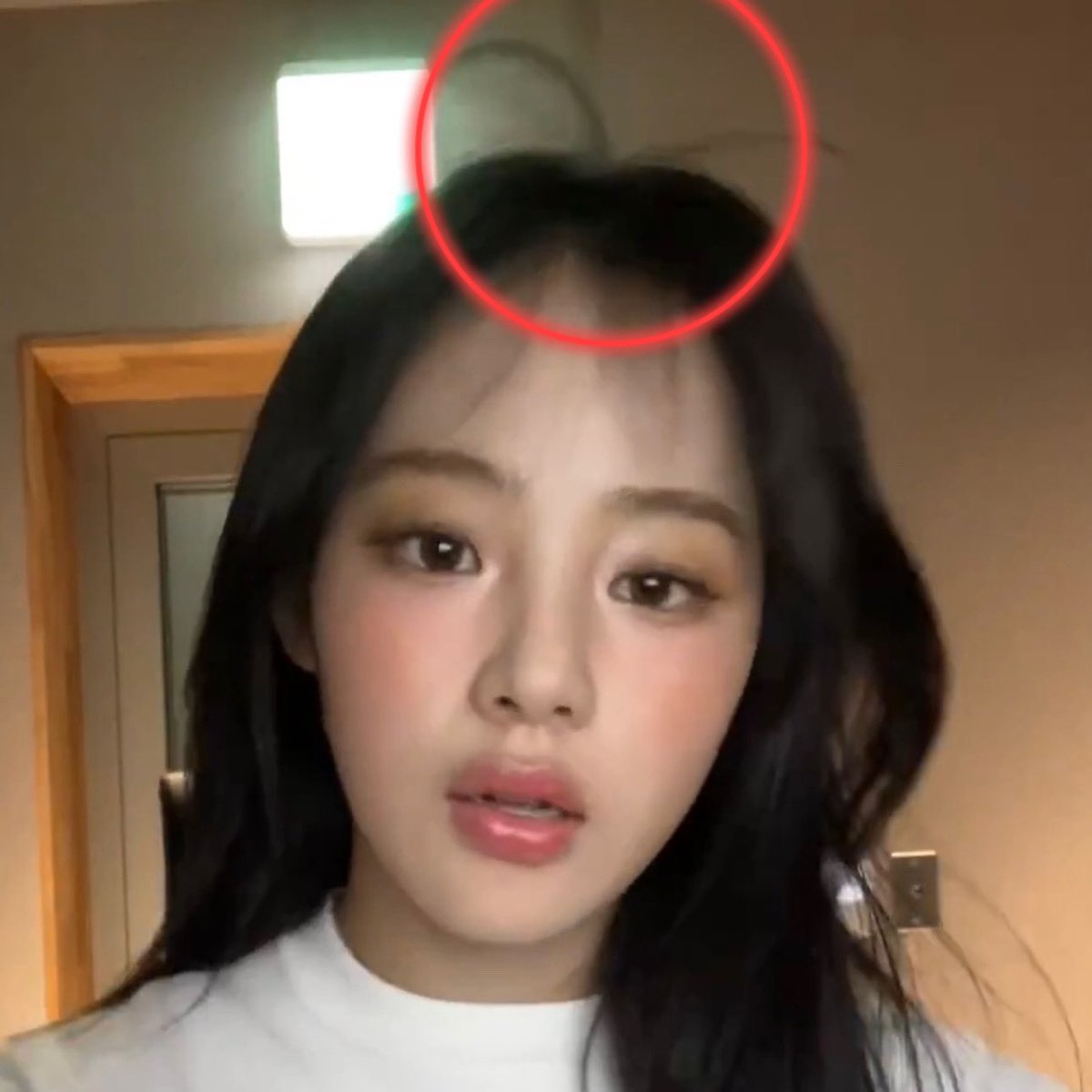 minjiplushie's tweet photo. they really are the same haha https://t.co/XXZJOPcTGF