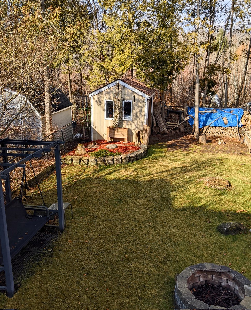 davejmcgrath's tweet photo. Hard to believe it's the 9th of Feb. and I'm outside in shorts and a T-shirt. About 15C (60F) right now, and no snow on the ground. A record breaker for #Toronto area. Lovin' it.😍🌞 https://t.co/ykoG9L7vD9