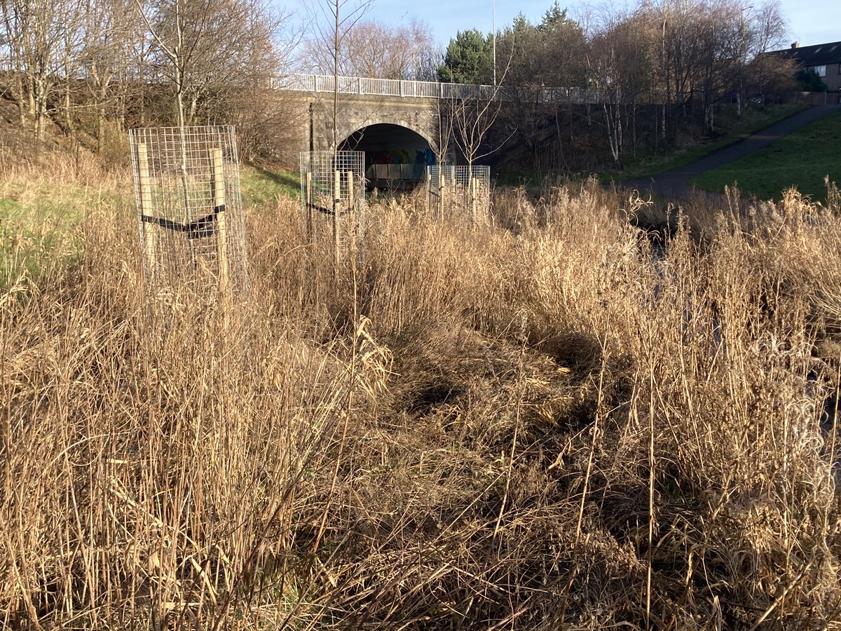 It’s our Feb monthly activity morning along the Burn tomorrow on Sat 10th Feb , meet 10am at the FBBVP Bothy, 26B Gilmerton Dykes Street - the plan is to walk along the burn towards the Straiton entrance to the park looking for snowdrops and doing a litter pick along the way