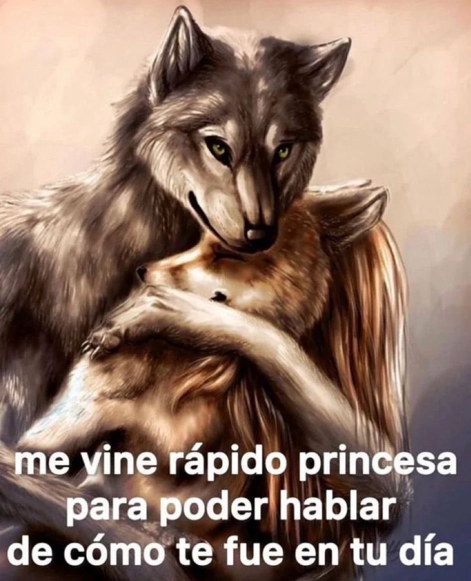 ༺♡༻ (@felenss) on Twitter photo 