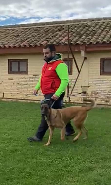 Protección Civil Utebo tweet media