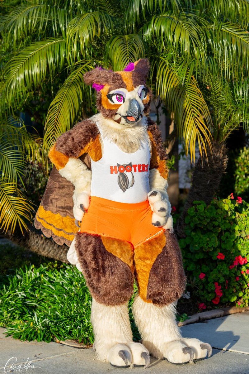 Welcome to hooters! Can I take your order? #FursuitFriday 📸: @Chaiwolfess 🧵: @P0Eproductions