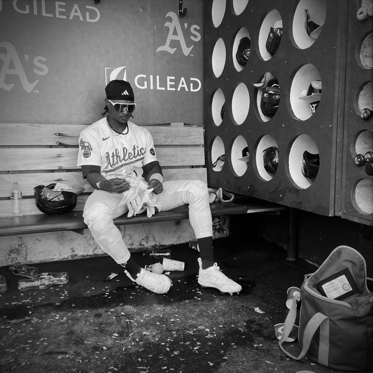 Professional Baseball Photographers' Association tweet media