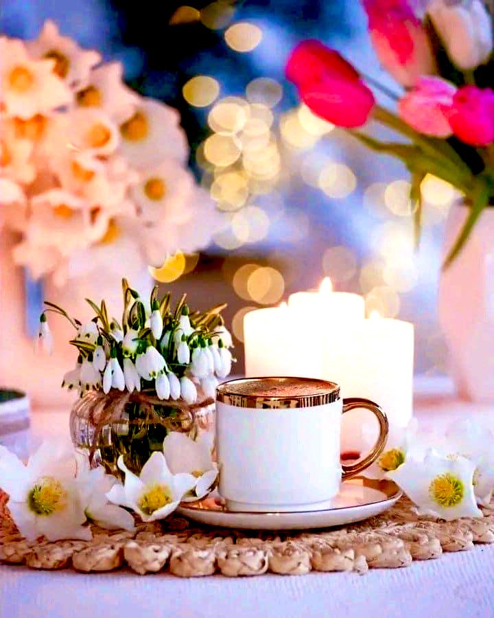 💐☕️🌷🫖💕✨🌈 𝒢𝑜𝑜𝒹 ℳ𝑜𝓇𝓃𝒾𝓃𝑔 🌷🤍✨ #VibeTribe @ThisIsJimmyStar @BCLONA @joeybagovdonuts @billyc_517 @TheDavidBowers @eztap89 @davidmartinezmu @1943_ron @johndadamo @RobSaahShow @EileenShapiro3 @WNRM @OConnorColette @BarryHall9 @windowgatribble @EddieSaul7 🌈🦋♥️