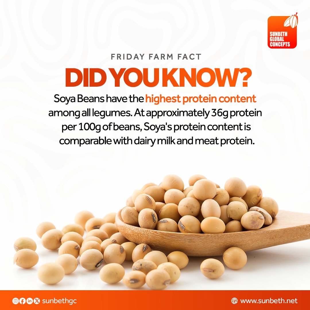 sunbethgc's tweet photo. No meat, no problem -- who needs meat when you can have soya?

#sunbethglobalconcepts #tgif #fridayfarmfact #sunbethenergies #sunbethshipping #sgcl https://t.co/tbPf4BrJX1