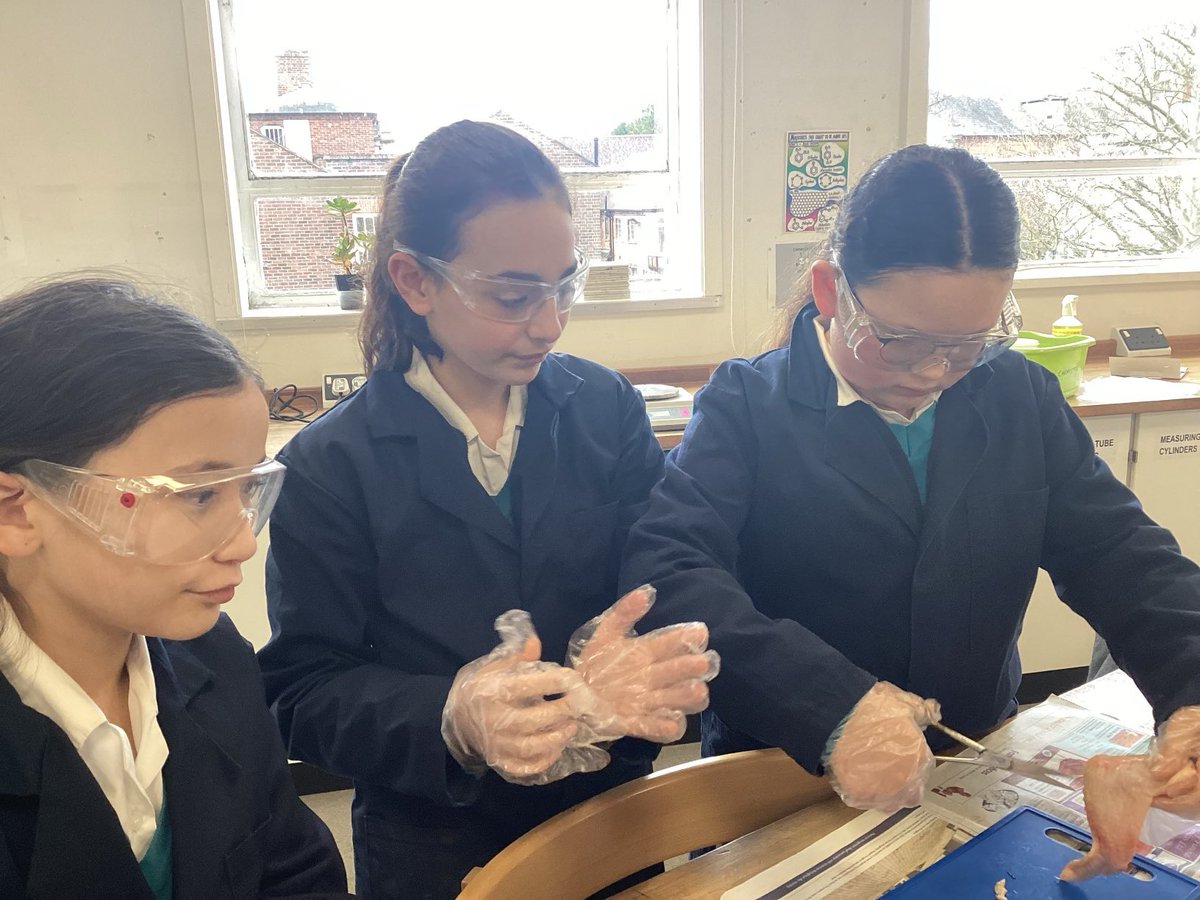 BGSSmartScience's tweet photo. Dissecting chicken wings as part of our #BGSYear6 #BGSScience biomechanics project https://t.co/RmNsXWvq1y