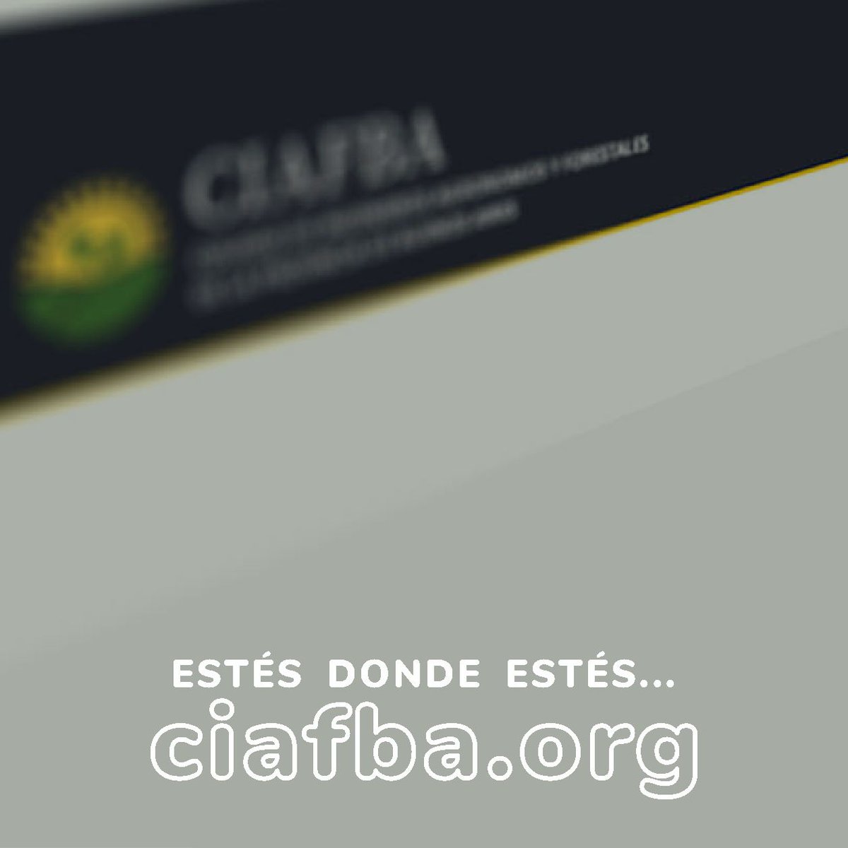 CIAFBA OFICIAL tweet media