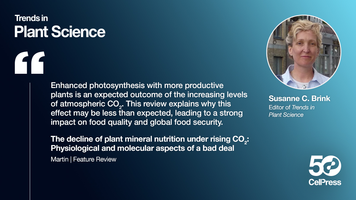 The decline of plant mineral nutrition under rising CO2: physiological and molecular aspects of a bad deal #TrendsEditorsChoice2023 <a href="/TrendsPlantSci/">TrendsPlantSci</a> cell.com/trends/plant-s…