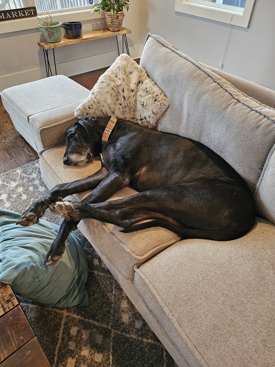 bandmanclayton tweet media