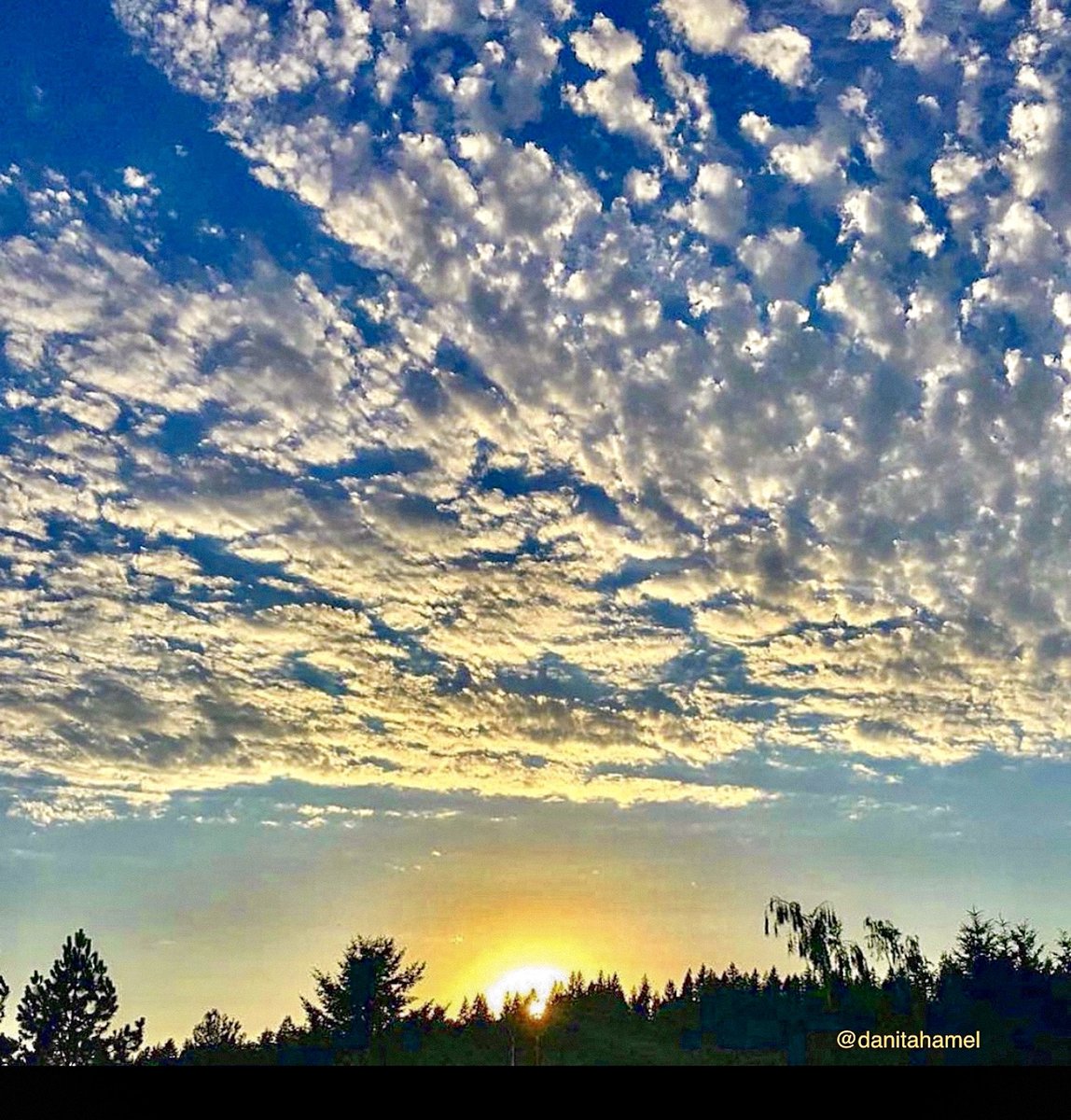 danitahamel's tweet image. QP a photo of a big sky.

Here’s mine: a sky covered in a beautiful cloud pattern at sunset that filled me with awe.🌅⛅️

#BigSky