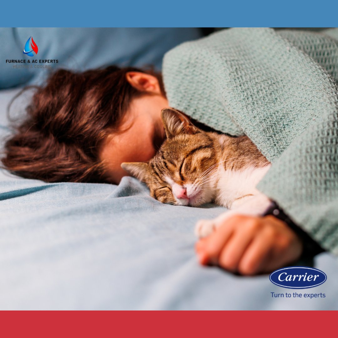 FurnaceAcExpert's tweet photo. When it’s cold outside, nothing beats cuddling up inside. And that goes for people, too. So, turn to the experts at @CarrierAtHome to choose the right equipment to give you and your fur babies total home comfort.
.
.
.
.
Furnace AC Experts
Call: 905-595-0505 https://t.co/tPmVs9Js44