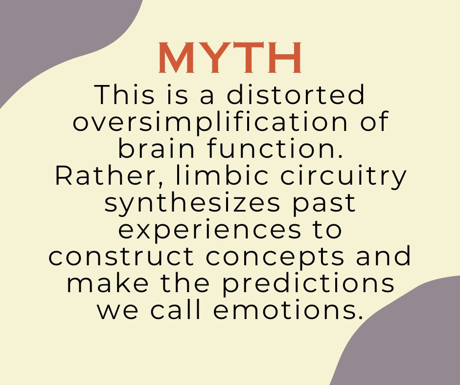 🧠  Mythbusters: Neuroscience Edition. 🧠

#21stCenturyEmotionScience #TheoryOfConstructedEmotion #TriuneBrainNonsense