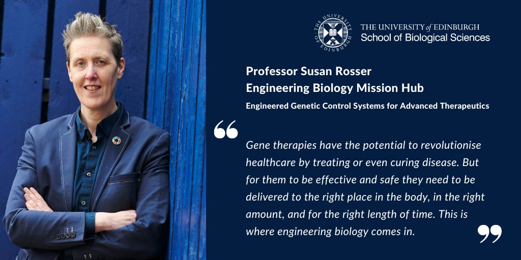 Congratulations Professor Susan Rosser @Rosserlab who is leading a new £14m research hub, funded by @UKRI_News, focused on developing gene therapies to help treat or cure disease Our researchers are involved in 3 of the 6 new engineering biology hubs ➡️ edin.ac/3SBS0pm
